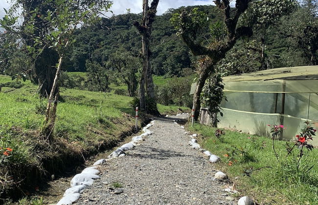 Quindanna - Foto 15