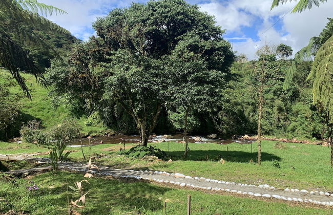Quindanna - Foto 14