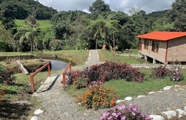 Quindanna - Foto 16
