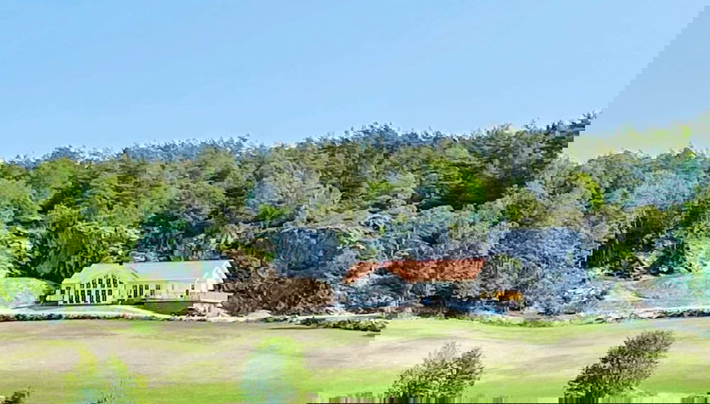 Primary image