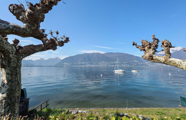 Garden on the Lake 1 - Foto 16
