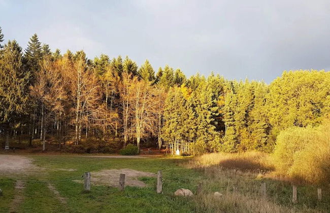 8 Person Holiday Home in Logstor-by Traum - Foto 24