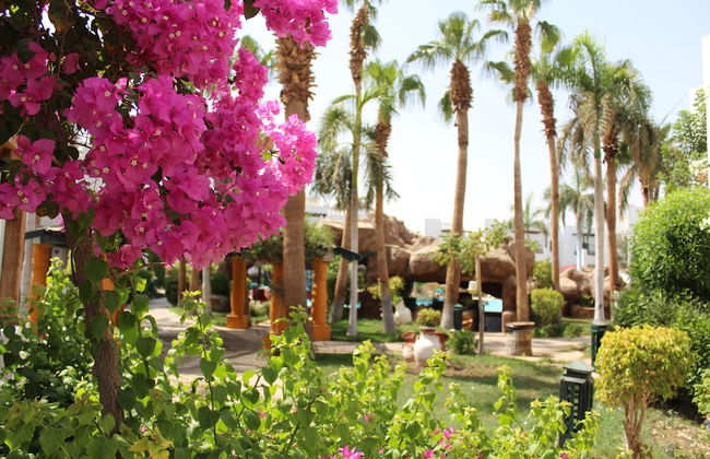 Herrmes Hospitality - Foto 1