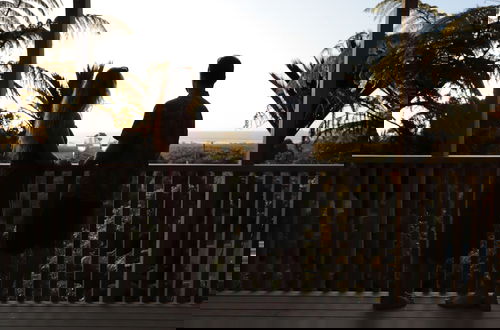Photo 6 - Treescapes