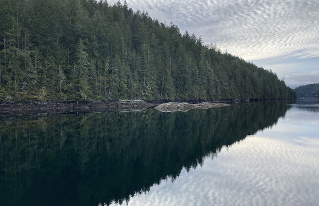 Heartwood Retreats - Photo 55