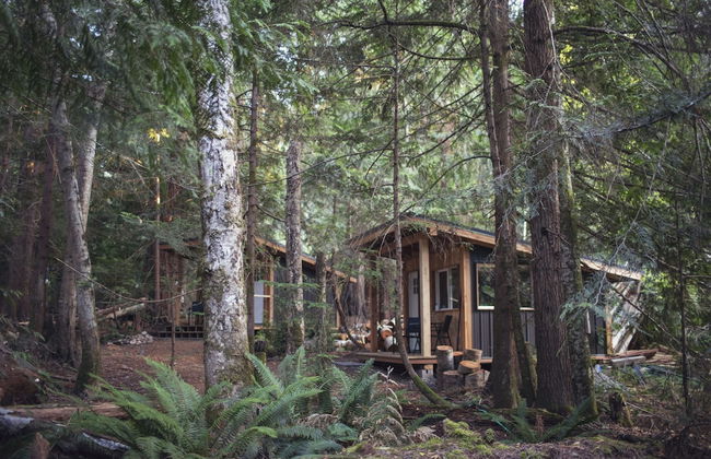 Heartwood Retreats - Photo 45