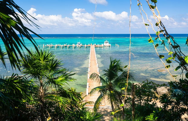 Lawson Rock - Angelfish 100 - Photo 17