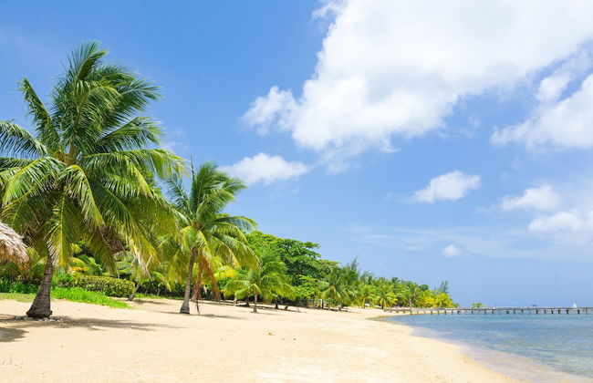 Lawson Rock - Angelfish 100 - Photo 15