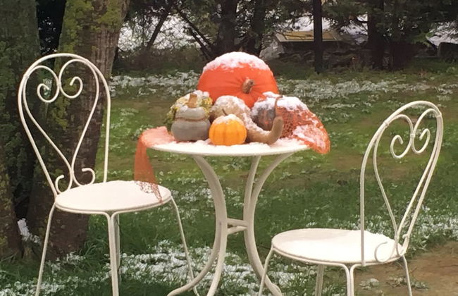 Osteria e Locanda del Viaggiatore - Foto 27