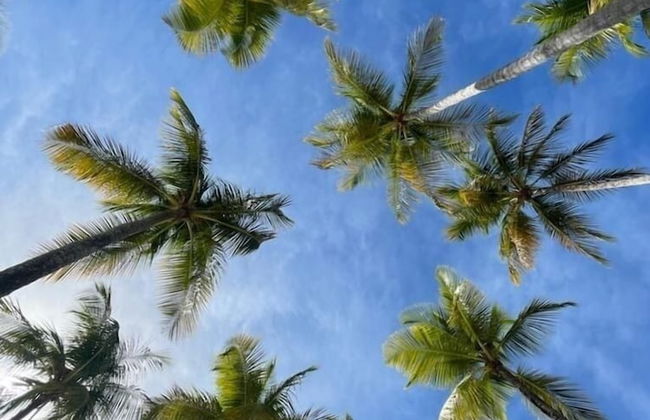 Nakolodge 4 chambres - piscine / balneo / jardin privatifs - Foto 63