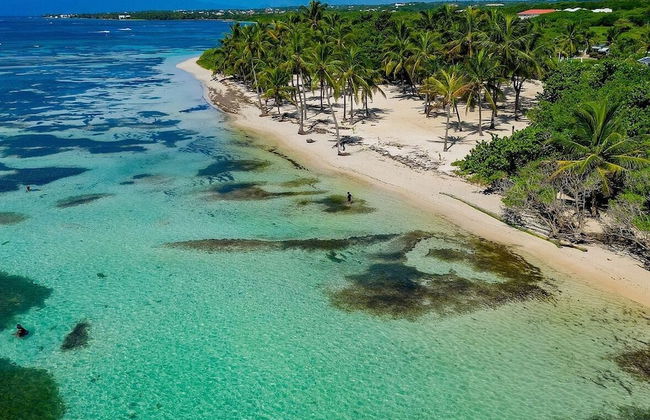 Nakolodge 3 chambres -piscine / jardin privés - Foto 59