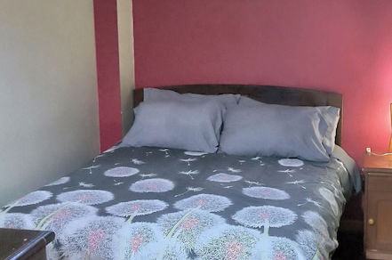 Photo 4 - Caserita Apart