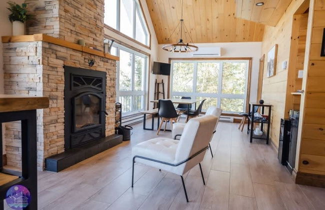 Sommet- Pet Friendly- Spa- SKI IN SKI OUT St-c me - Photo 28
