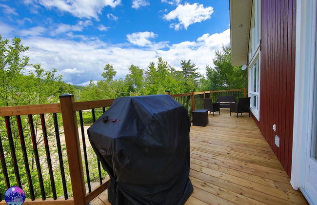 Sommet- Pet Friendly- Spa- SKI IN SKI OUT St-c me - Photo 36