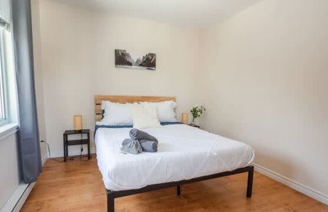 Sommet- Pet Friendly- Spa- SKI IN SKI OUT St-c me - Photo 9