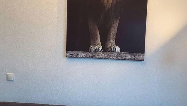 Wohnbereich