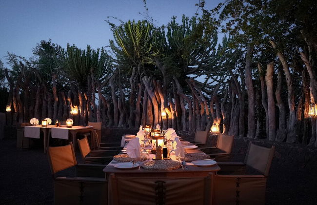 Euphorbia Mashatu - Photo 37