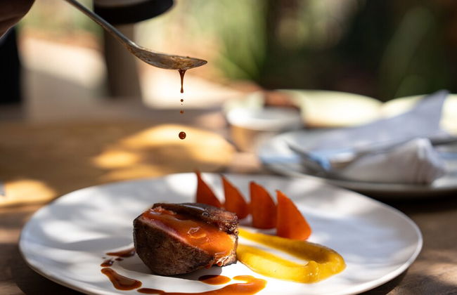 Euphorbia Mashatu - Photo 31