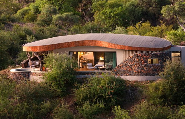 Euphorbia Mashatu - Photo 1