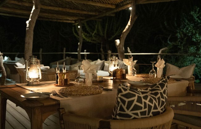 Euphorbia Mashatu - Photo 38