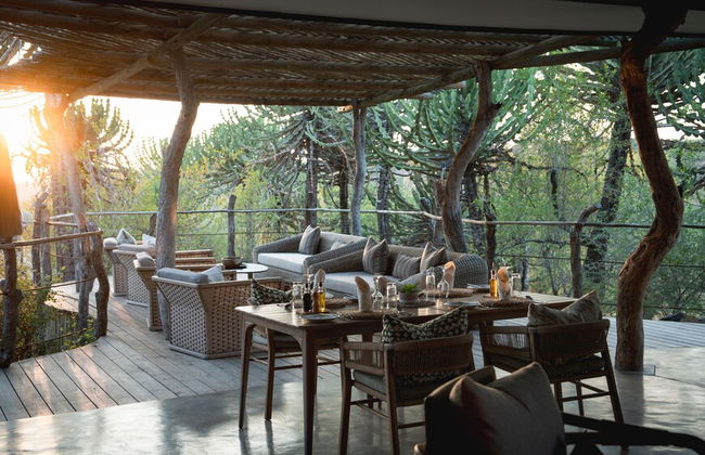 Euphorbia Mashatu - Photo 28