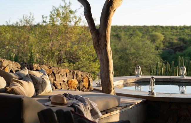 Euphorbia Mashatu - Photo 17