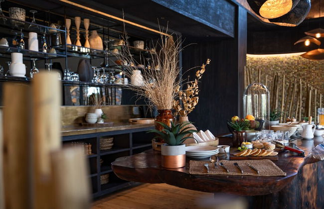 Euphorbia Mashatu - Photo 32