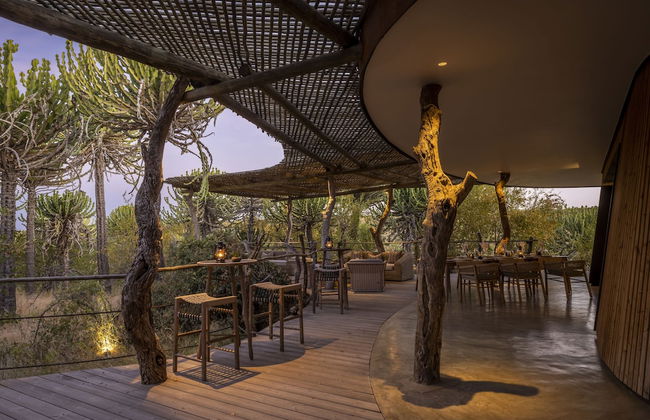 Euphorbia Mashatu - Photo 10