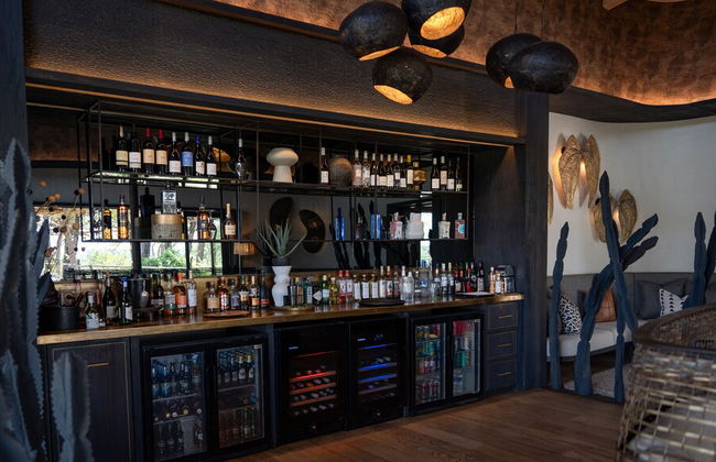 Euphorbia Mashatu - Photo 33