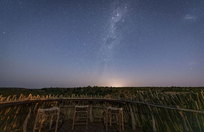 Euphorbia Mashatu - Photo 41