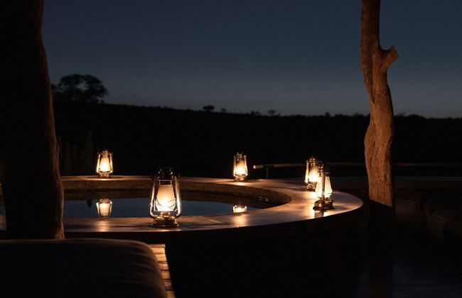 Euphorbia Mashatu - Photo 18