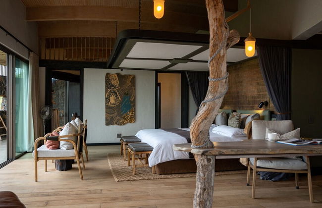 Euphorbia Mashatu - Photo 3