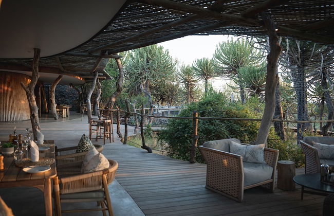 Euphorbia Mashatu - Photo 12