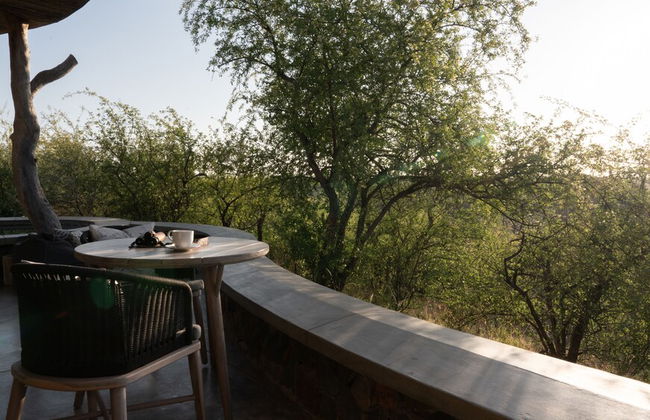 Euphorbia Mashatu - Photo 11