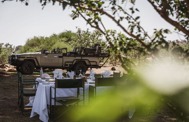 Euphorbia Mashatu - Photo 26