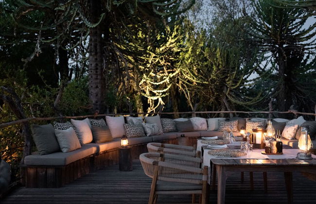 Euphorbia Mashatu - Photo 35