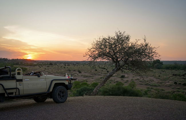 Euphorbia Mashatu - Photo 39