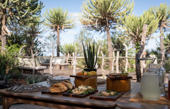 Euphorbia Mashatu - Photo 30