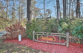 Photo 2 - Outdoor Adventure - Charming Cabin w/ Hot Tub