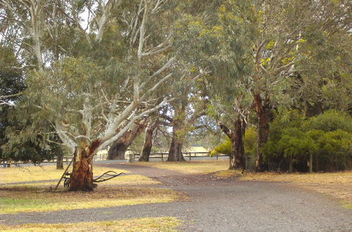 Photo 10 - GRAMPIANS HISTORIC TOBACCO KILN