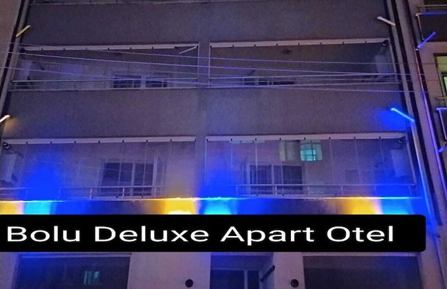 Bolu Merkez Deluxe Apart Otel - Foto 44