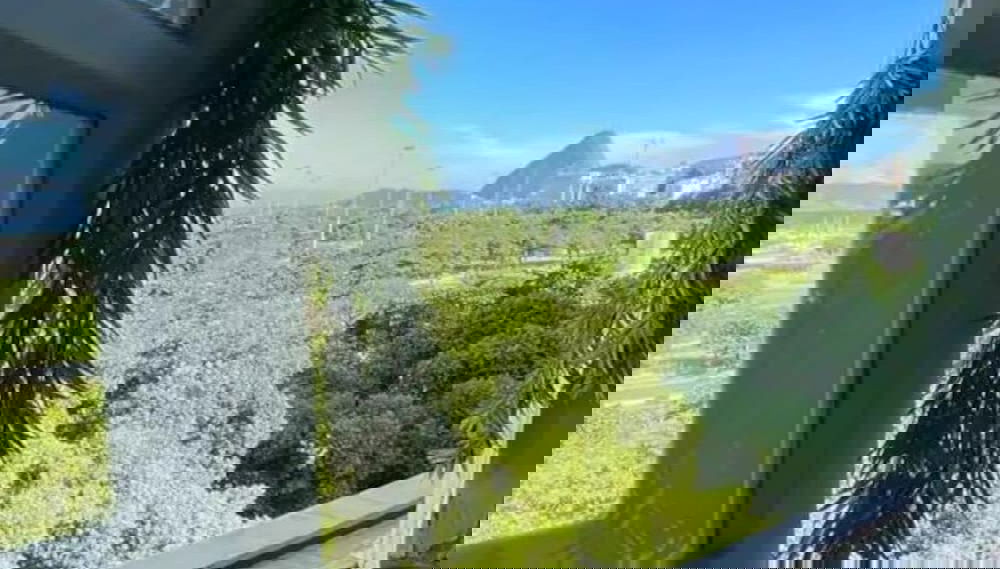 Image principale