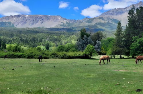 Photo 32 - Esaki Farm Near El Bolson