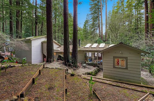Photo 1 - Pacific Coast Redwoods Cabin for Family