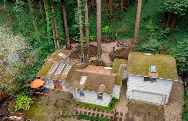 Pacific Coast Redwoods Cabin for Family - Foto 65