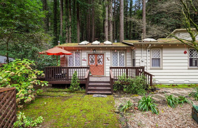 Pacific Coast Redwoods Cabin for Family - Foto 69