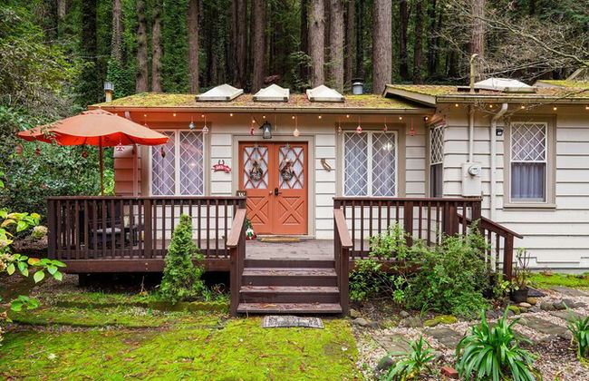 Pacific Coast Redwoods Cabin for Family - Foto 70