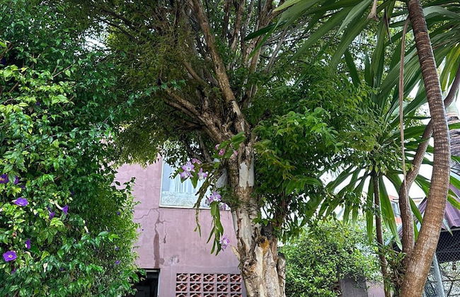 Mansao no centro São Roque - Foto 58