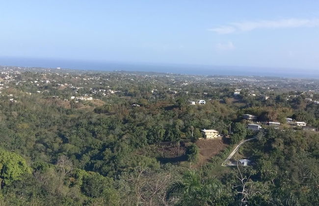Aguada Farm & Eco-Lodge - Foto 3