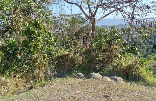 Aguada Farm & Eco-Lodge - Foto 13